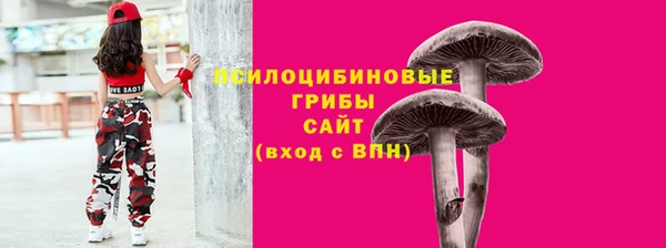 не бодяженный Алзамай