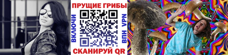 купить   Белоярский  Галлюциногенные грибы мицелий 